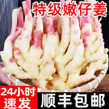 嫩姜山东红芽姜2025新鲜仔姜子姜四川指头生姜非云南小黄姜泡老醋 净重5斤