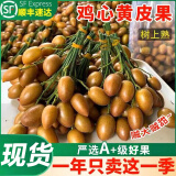 粤迎广东鸡心黄皮果【JD顺丰冷链】当季特产新鲜现摘现发孕妇可吃 鸡心黄皮果【酸甜多汁】 5斤精选果【多人分享装-超划算】净4.5斤