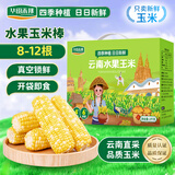 华田禾邦【日日鲜】水果玉米4斤（8-12根）礼盒装 新鲜甜黏玉米粒低脂代餐