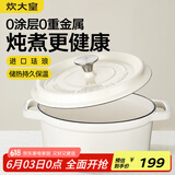 炊大皇珐琅锅铸铁锅家用炖锅砂锅汤锅焖烧锅电磁炉燃气煮锅24cm