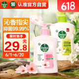 洗手液滋润250g+绿茶250g 香氛儿童消毒洗手液抑菌99.99% 