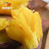 西域美农云南朱芷金薯4.8斤 甜糯红薯水果蔬菜皮薄蒸烤甜蜜地瓜 小果4.8斤 30-100g