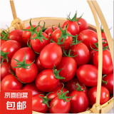 冰糖水果小番茄高山圣女果小西红柿早餐减肥减脂生鲜新鲜蔬菜 高山圣女果 2斤 净重
