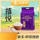 御龙儿河龙贡米·禧悦5kg优质南方单季籼稻