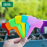 绿族园艺标签牌T型防水彩色花卉牌多肉花盆花名插地插牌 混色100个装