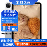Apple苹果平板电脑 ipadPro2020/2021 11寸12.9寸 2代 四代 二手平板电脑 20款iPad Pro 11寸 插卡版 256G WIFI版 99成新