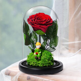 Para Ella小王子永生花生日送老婆结婚纪念日礼物伴手礼品实用元旦新年跨年