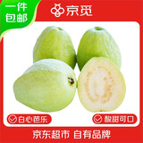 京觅福建芭乐 白心芭乐脆果 土番石榴单果150g 4.5斤装