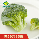 小汤山 北京 西兰花 270g 基地直供新鲜蔬菜
