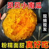 喜季正宗贝贝南瓜板栗味小南瓜精品香甜粉糯宝宝辅食新鲜蔬菜健康轻食 贝贝南瓜 4.5斤 【普通装】