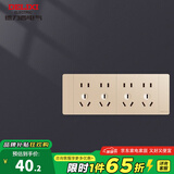 德力西（DELIXI）插座面板暗装CD691系列 118型二位五孔10孔插座面板香槟金 118型二十孔