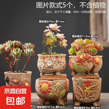 大口径拼盘多肉花盆陶瓷素烧透气个性粗陶桌面造景绿植手绘小花盆 五彩花朵组合5个 【看图标注】