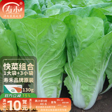 寿禾油菜种子矮脚上海青梗菜蔬菜小白菜快菜夏秋寿光蔬种籽四季青菜 寿禾奶油快菜种子130g组合