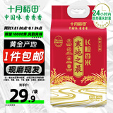 十月稻田 寒地之最 东北长粒香大米 8斤（东北大米 香米 4公斤 ）