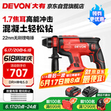 大有（Devon）20V锂电锤充电电锤两用电镐冲击钻混凝土工业级DRH单电5.0