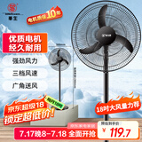 华生（Wahson）电风扇家用落地扇交流定频电扇立式工业扇18吋牛角扇低噪大风量宿舍办公车间商用强力风扇FS-D1806
