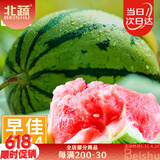 北蔬 西瓜种子种籽苗麒麟8424冰糖甜西瓜南北方春季 8424西瓜种子60粒