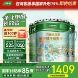 三棵树漆（SKSHU）抗甲醛净味五合一墙面漆油漆涂料51L套装（厂家直送可调色）