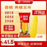 契丹粮道黄糯玉米4斤/箱/10穗杂粮玉米棒即食早餐真空装玉米礼盒