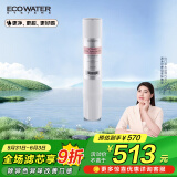 怡口净水（ECOWATER）净水器家用原装耗材 CTO-15滤芯 压缩活性炭滤芯 除异色异味改善口感 适配机型详询客服