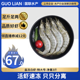 GUO LIAN国联 生鲜盐冻大虾 无冰净重3斤 盐冻特大号45-60只 海产冷冻虾