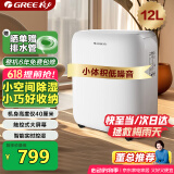 格力（GREE）【低噪小体积】除湿机/抽湿机家用除湿量12升/天单间参考面积24平24H定时除湿器DH12EN