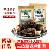 滇味十足（DIANWEISHIZU）云南头茬香格里拉羊肚菌 名贵珍稀养生煲汤食材山珍菌菇出口品质 【实惠3-6cm】10克/袋