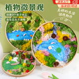 砚玺永生花苔藓微景观儿童手工DIY材料包幼儿园竹编创意手工亲子活动 苔藓微景观22cm竹匾随机款 打造自然气息 亲子互动更有趣
