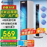 格力（GREE）【强力制冷】冷风扇家用负离子净化加湿制冷小空调扇水冷无叶降温冷气扇卧室遥控冷风机KS-06X71Dg