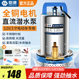 臣源直流潜水泵48-60v高扬程12V24V72V电瓶车抽水泵家用农用抽水机 12V1寸不锈钢叶轮7米线+20米管