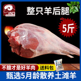 公羊去骨羊后腿肉生羊腿肉新鲜现杀整只鲜羊肉羔羊肉 5斤后腿原装整只