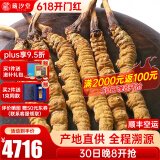 藏汐堂冬虫夏草 高海拔新干虫草礼盒装干货冬虫草头期 2根/g 10克 共20根【虫草王】