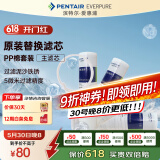 爱惠浦（Everpure） PP棉滤芯4支10吋/5微米加扳手 净水机通用滤芯