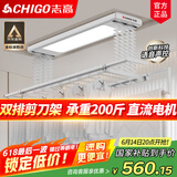 志高电动晾衣架阳台升降遥控自动晾衣机家用智能伸缩杆双排剪刀架 银色+照明横杆语音