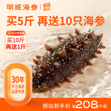 明威海参 鲜食即食海参刺参 鲜活加工独立包装单个装开袋即食冷冻海鲜礼盒 10-12头（1斤 ）