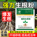 智绿强力生根粉植物通用苗木扦插快速生根液果树移栽生根剂花卉营养液 快速生根粉10g*5袋