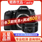 佳能/CANON  80D 60D 70D 77D 50D 90D 半画幅 二手单反相机 佳能80D+50 F1.8 STM 小痰盂 95新