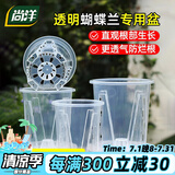 尚洋控根透明花盆14口径(含托)*3园艺绿植花卉盆栽种植种菜盆塑料盆