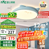 雷士（NVC）LED照明吸顶灯儿童氛围卧室灯创意可爱卡通简约-龙猫蓝色包安装