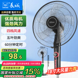 长城（CHANGCHENG）电风扇落地扇18吋五叶风扇摇头商务电扇居家办公立式风扇大功率大风量工业扇交流定频风扇FS-45