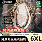 鲜海道【活鲜】鲜海道生蚝  乳山牡蛎 新鲜海蛎子生鲜贝类 送人稀有6XL号带箱5斤（5-7只）