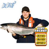 美威冷冻智利 三文鱼礼盒净重8斤 整条轮切礼盒 大西洋鲑鱼 海鲜