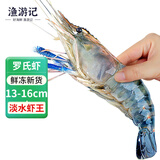 渔游记罗氏虾沼虾3斤鲜活冷冻新鲜大头虾超大虾巨型淡水河虾水产虾类 罗氏虾10-15/斤 1500g(净重)