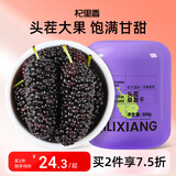 杞里香大果桑葚干300g 头茬黑桑葚干 即食桑椹干泡茶酒桑葚汁补品养生茶