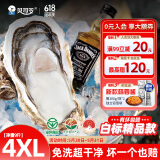 贝司令（BEISILING）【鲜活】乳山生态生蚝牡蛎贝类烧烤源头直发4XL净重9斤端午聚餐