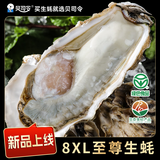 贝司令 鲜活乳山生态生蚝8XL 净重9斤 8-11只 生鲜源头直发 中秋聚餐 
