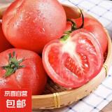 山东红果西红柿农家自种新鲜水果生吃沙瓤番茄应季蔬菜自然熟 红果西红柿 1斤