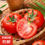 山东粉瓤西红柿生吃水果番茄新鲜蔬菜中大果 粉瓤西红柿 净重 5斤 家庭款