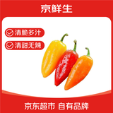 京鲜生山东迷你水果椒 净重1.5斤 单果20g+生吃即食蔬菜源头直发包邮
