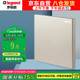 罗格朗（LEGRAND）开关插座面板 仕典米兰金系列无边框大面板空白面板